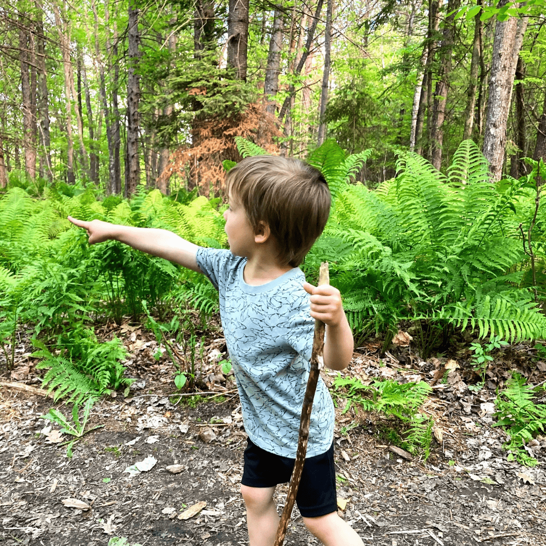 Toddler Hiking Independently